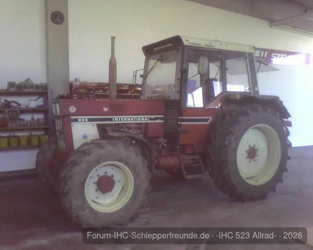 IHC 955
