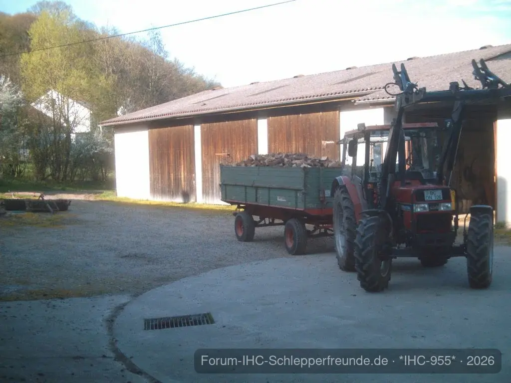 IHC 955