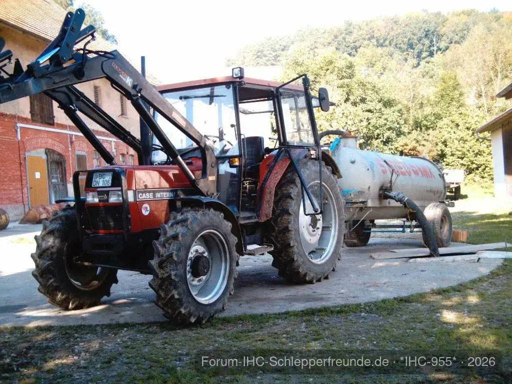 IHC 955