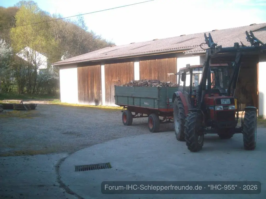 IHC 955