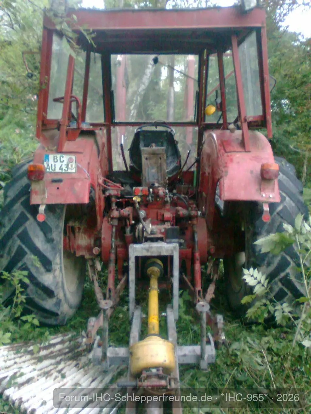 IHC 955