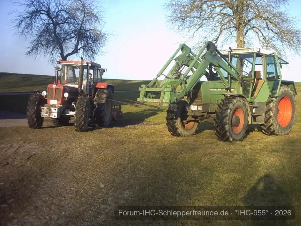 IHC 955