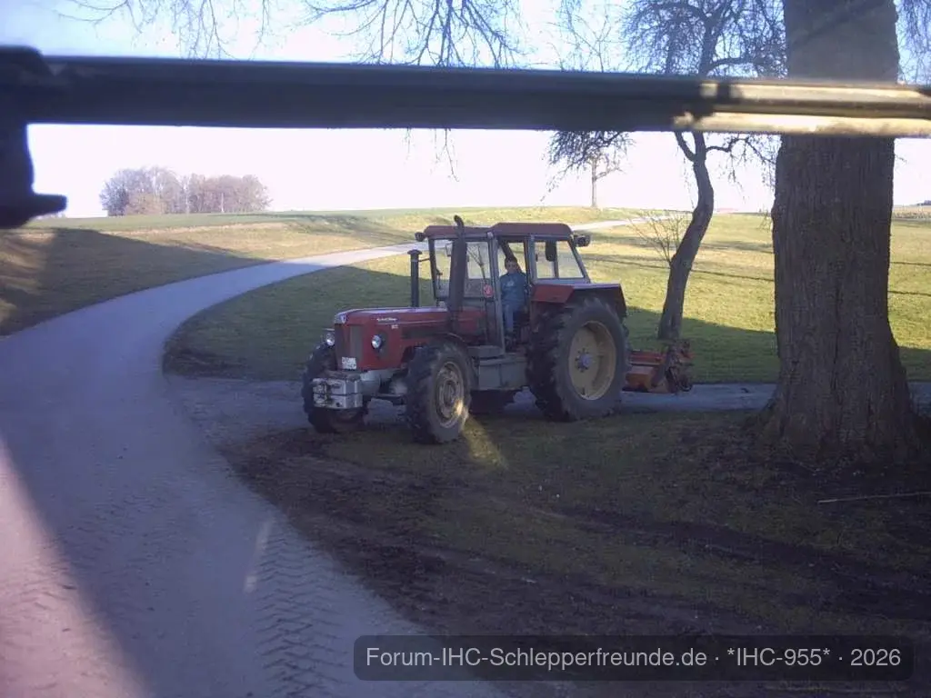 IHC 955
