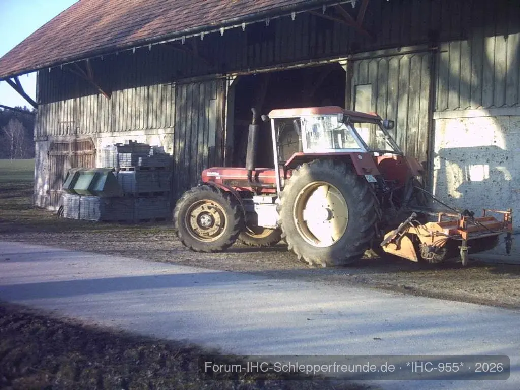 IHC 955