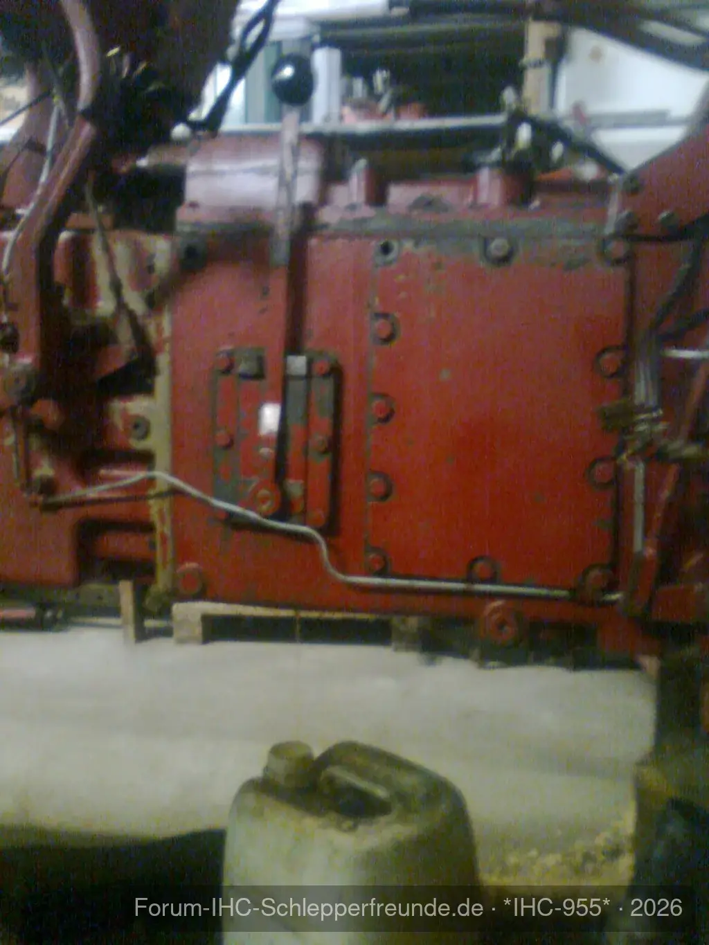 IHC 955