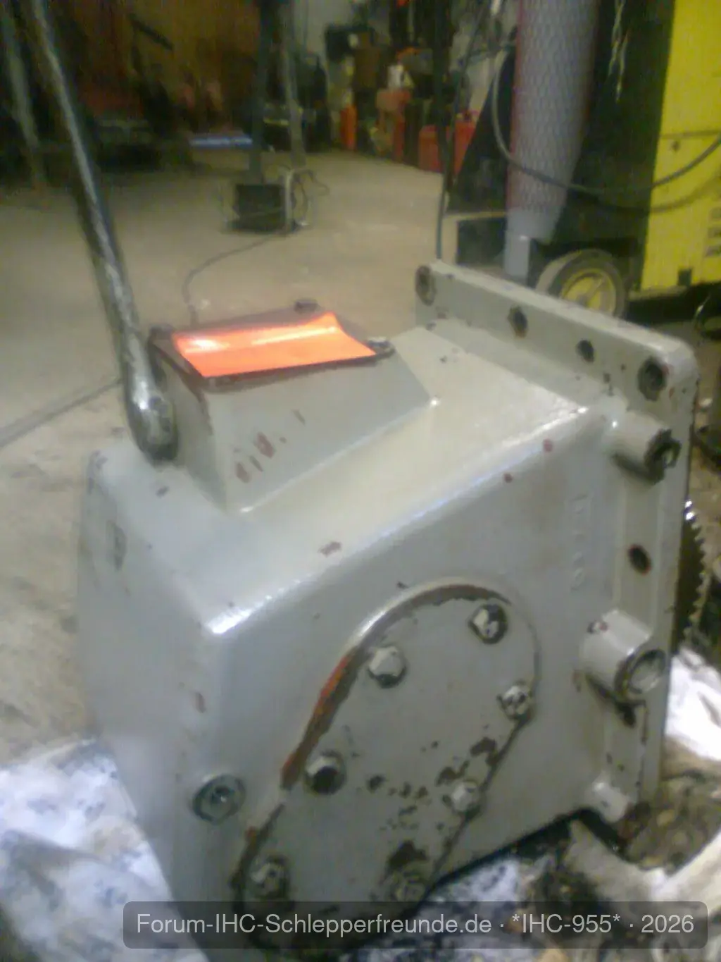 IHC 955