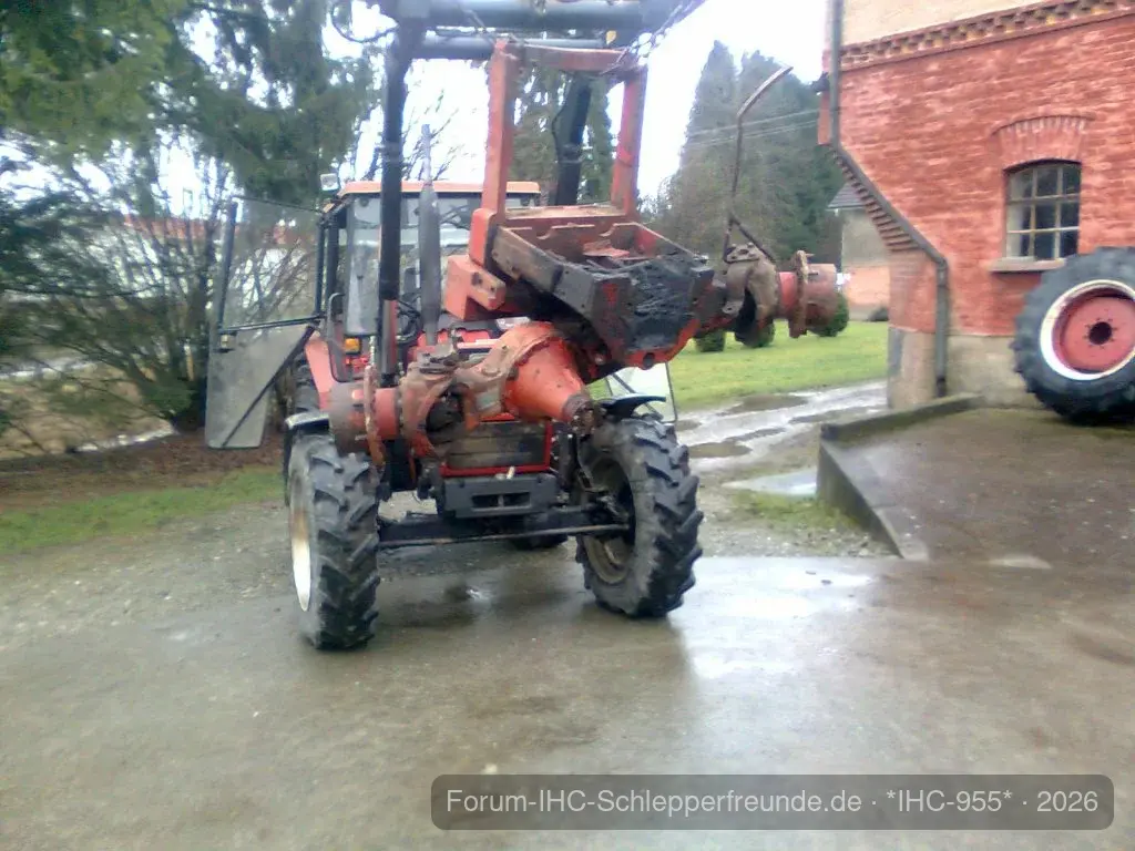 IHC 955