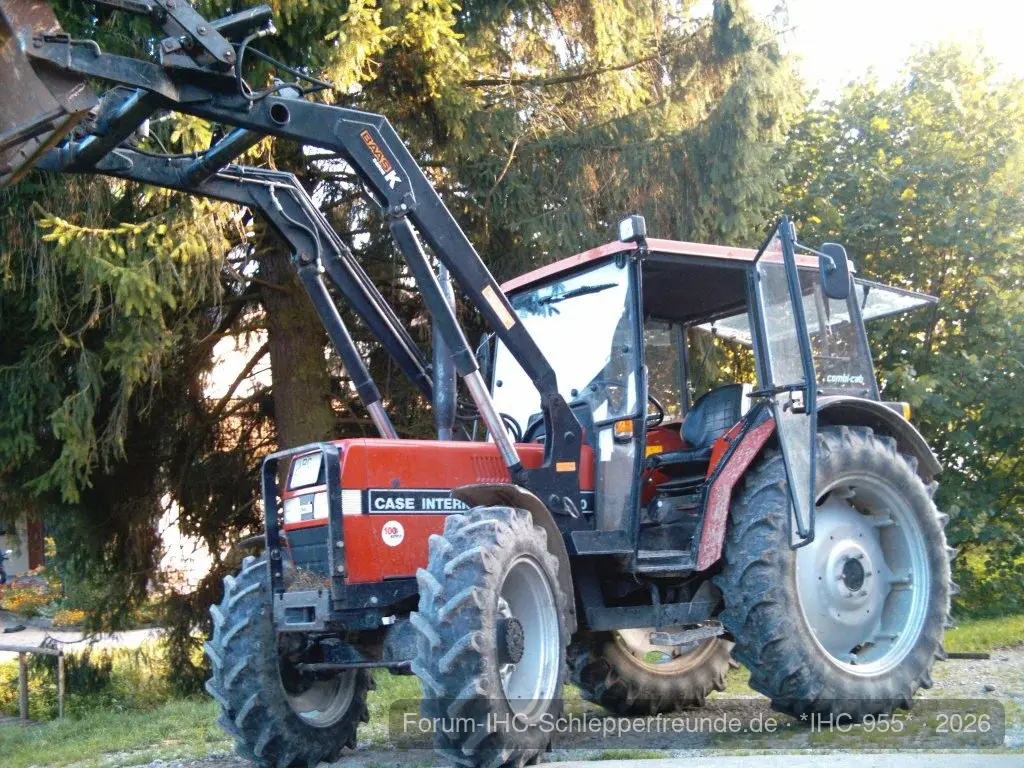 IHC 955