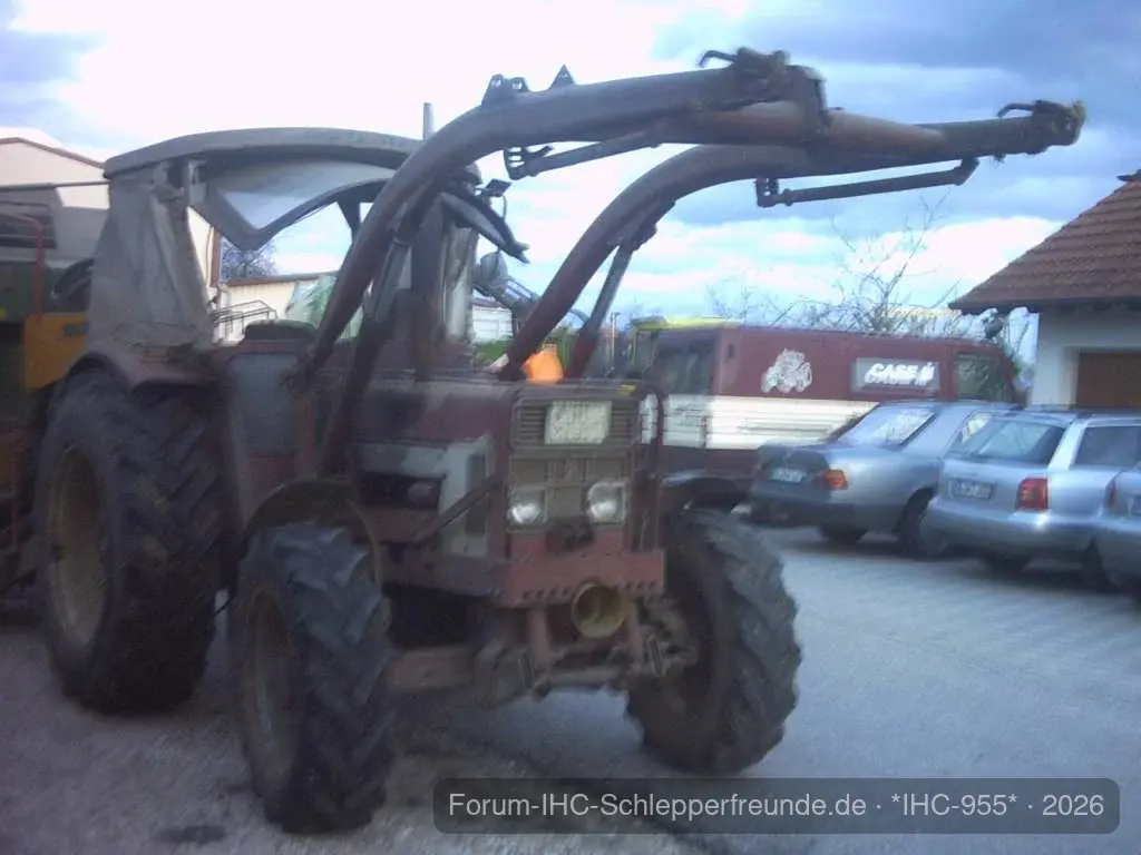 IHC 955
