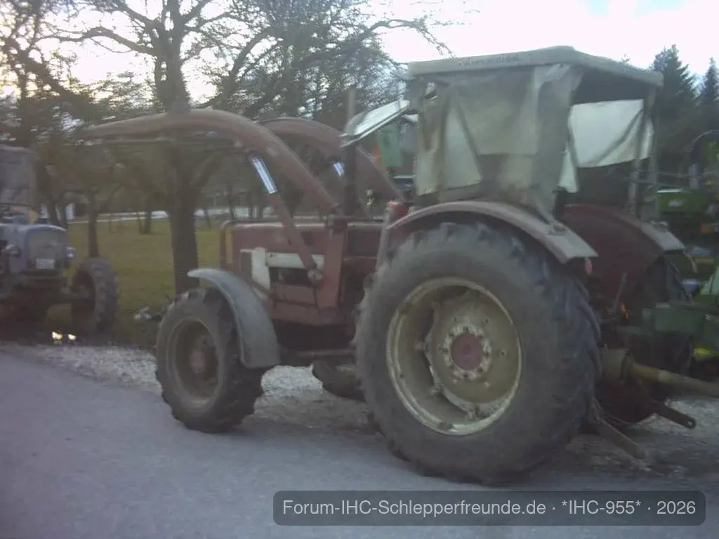 IHC 955