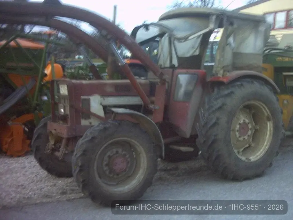 IHC 955