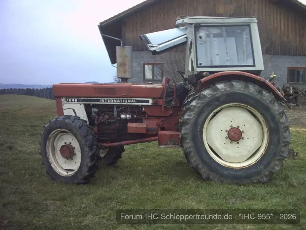 IHC 955