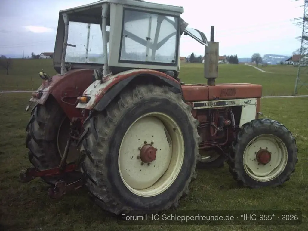 IHC 955