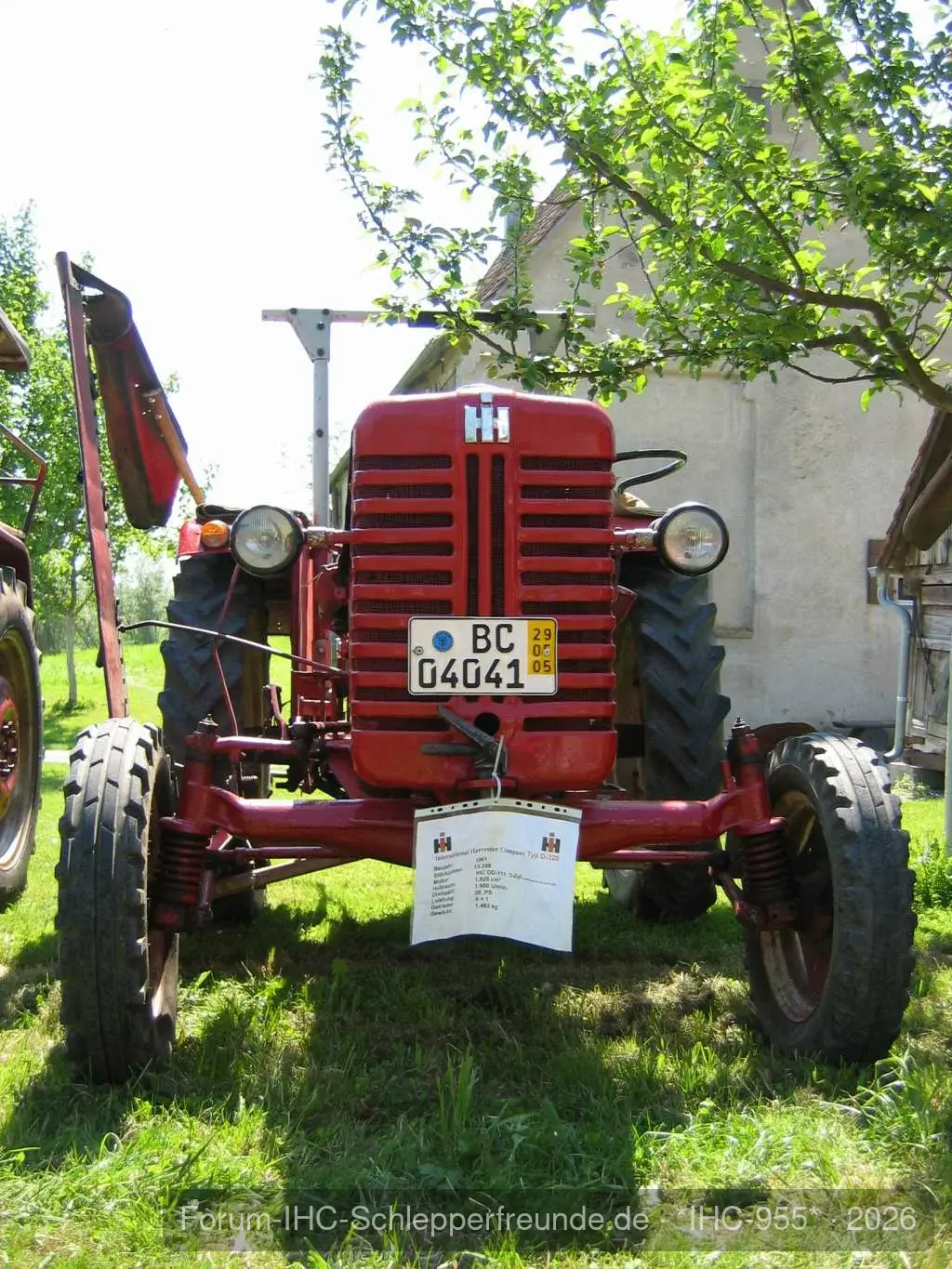 IHC 955