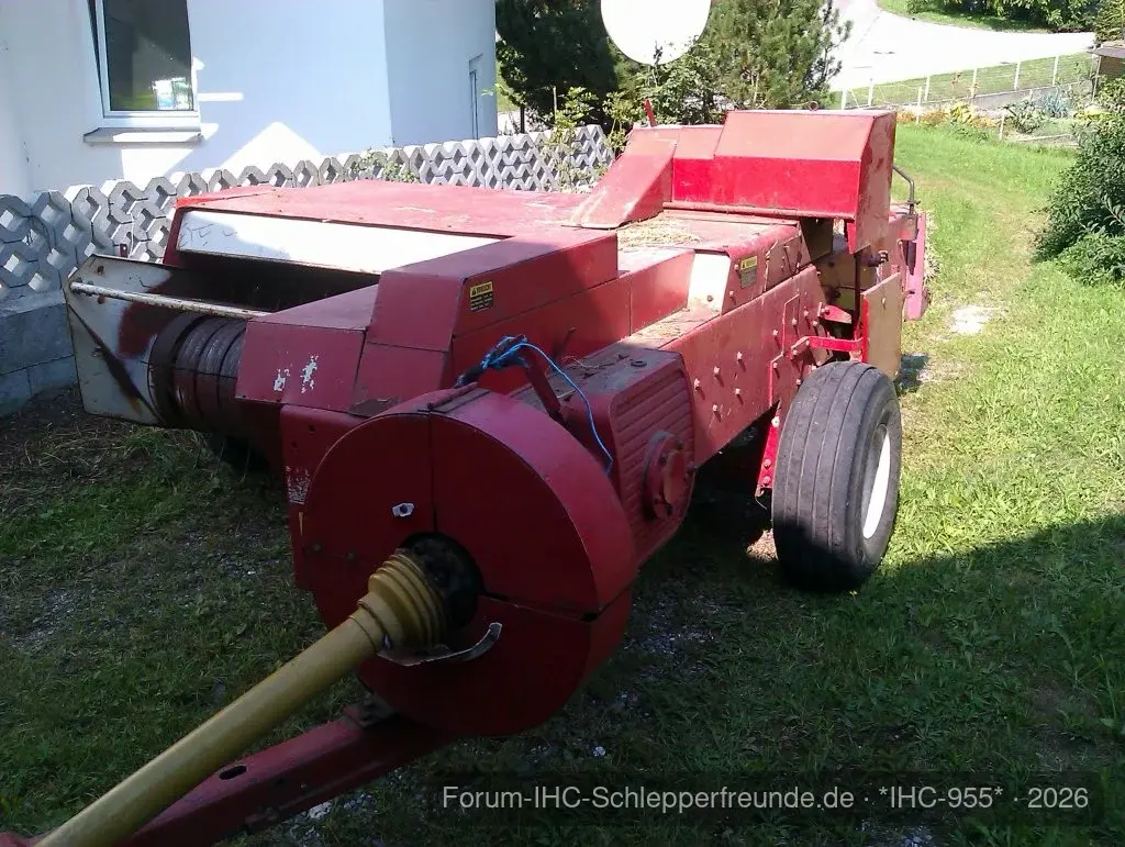 IHC 955