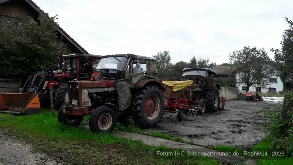IHC D514