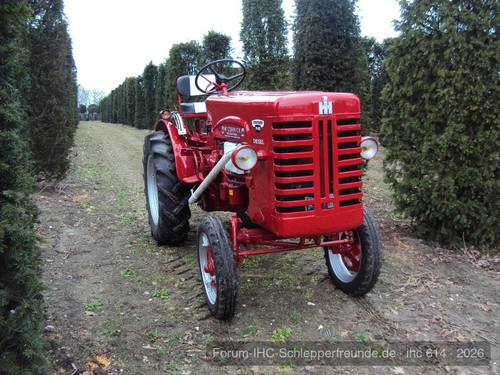 IHC FV265D in Gartenbau