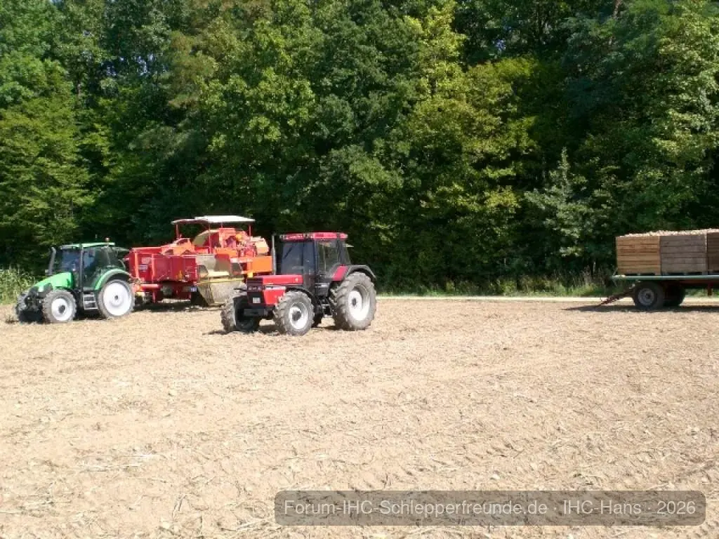 IHC Hans