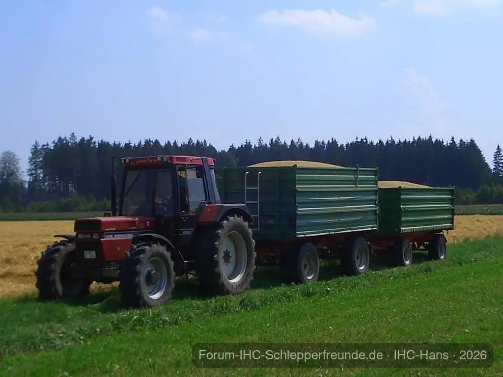 IHC-Hans
