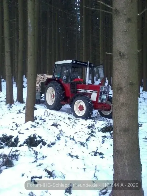 IHC im Wald