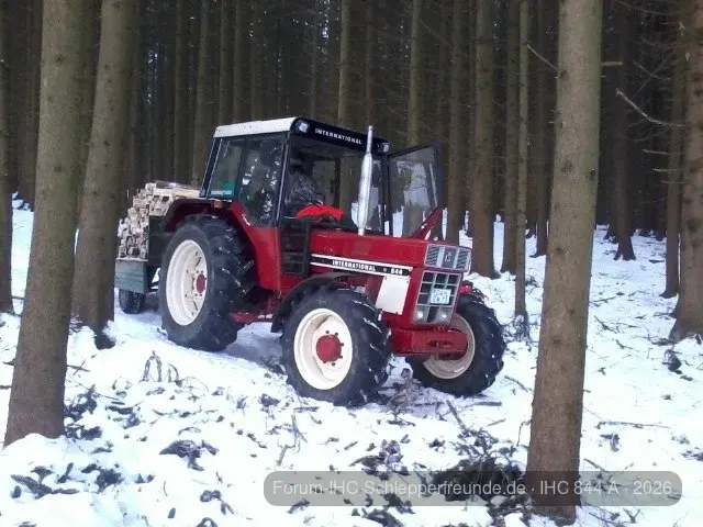 IHC im Wald