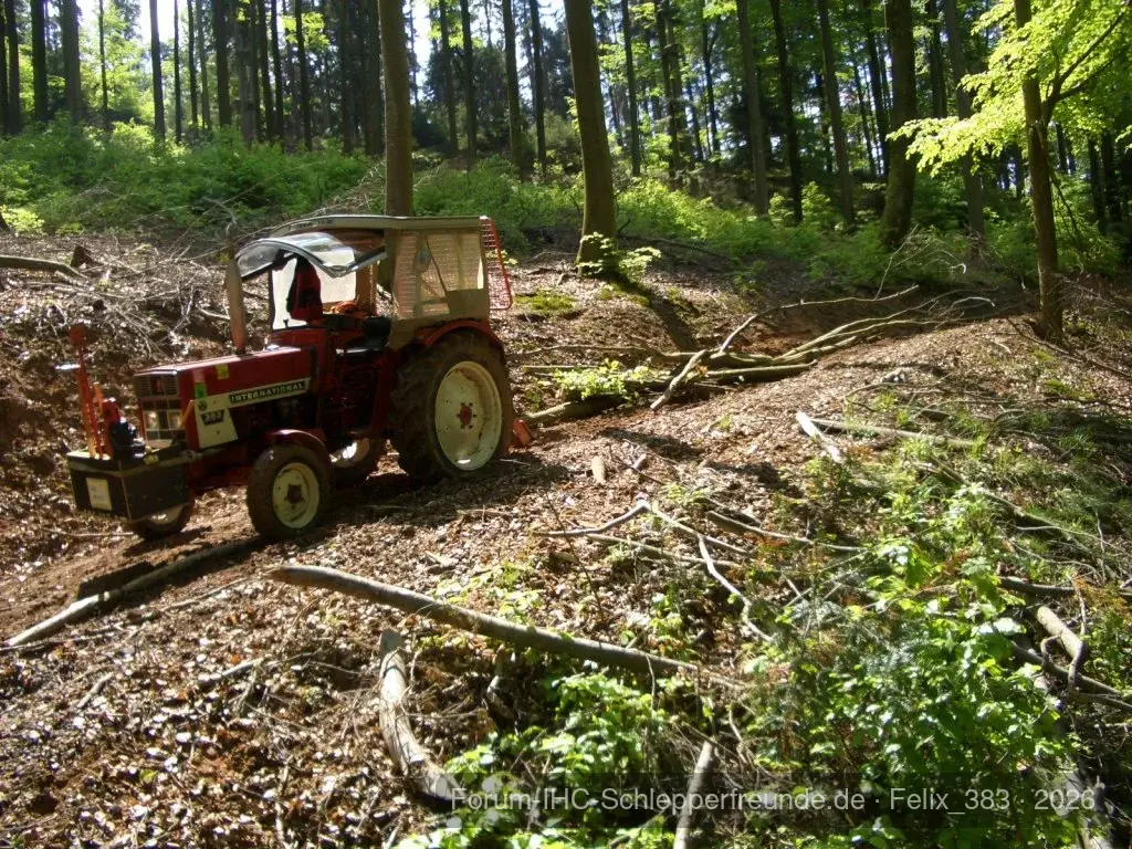 IHC im Wald...