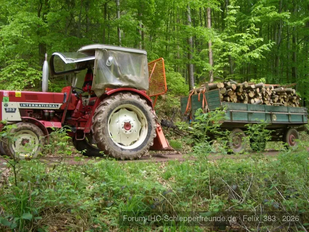 IHC im Wald...