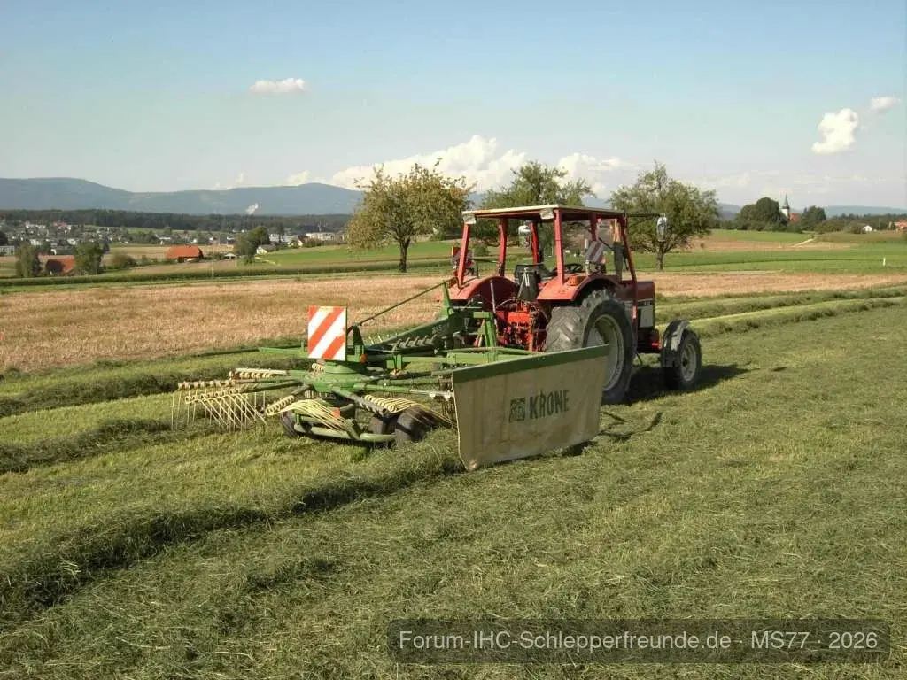 IHC mit KS Krone