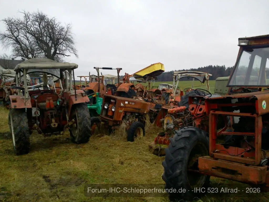 IHC Schlächer