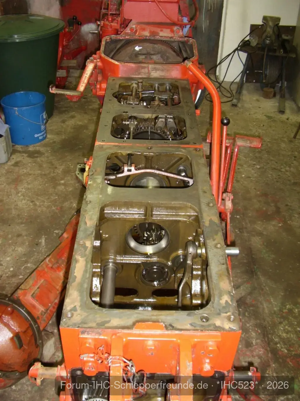 *IHC523*