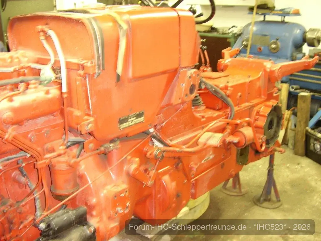*IHC523*