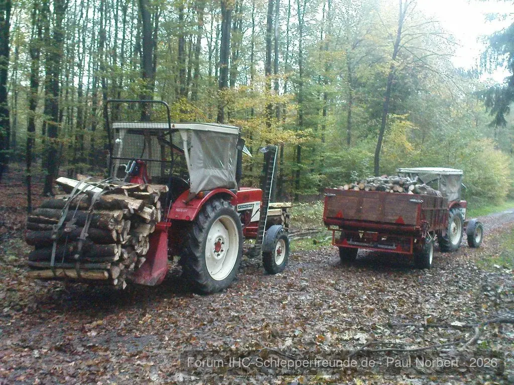 Im Wald