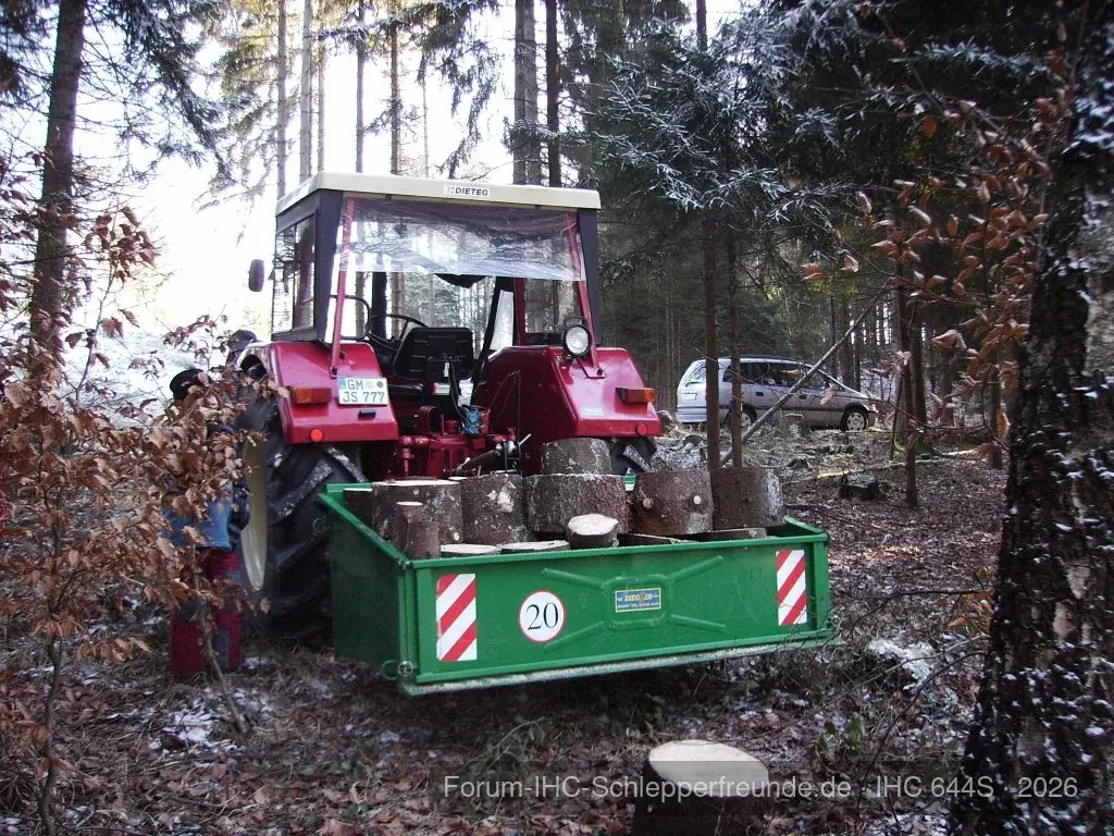 Im Wald