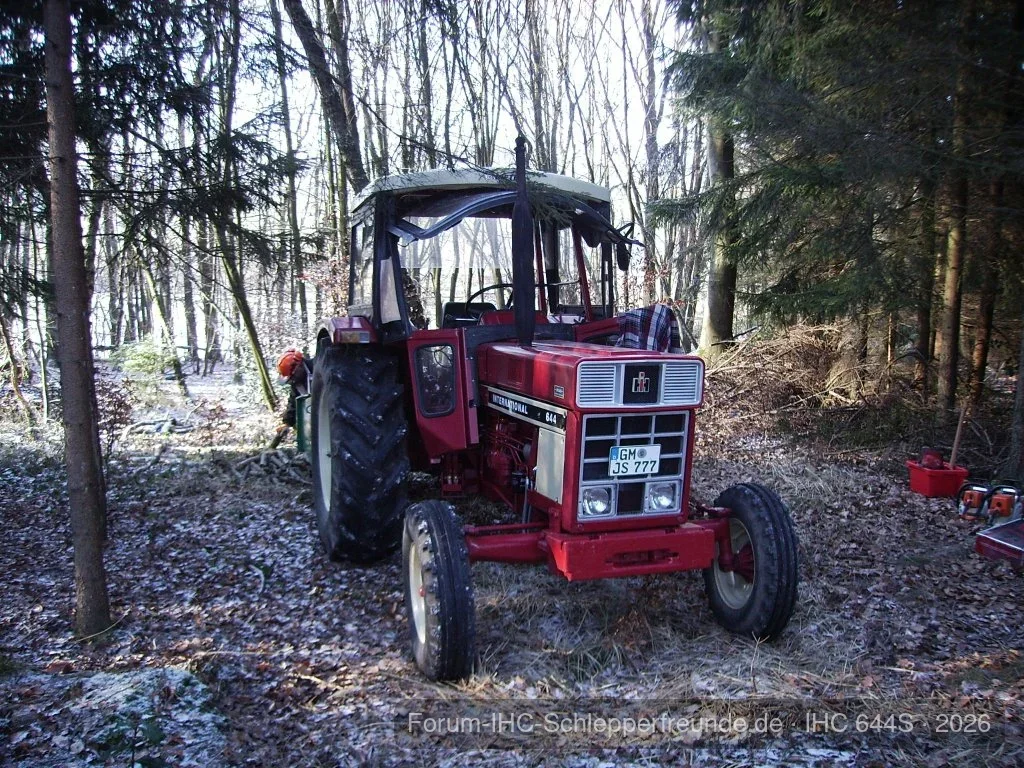 Im Wald