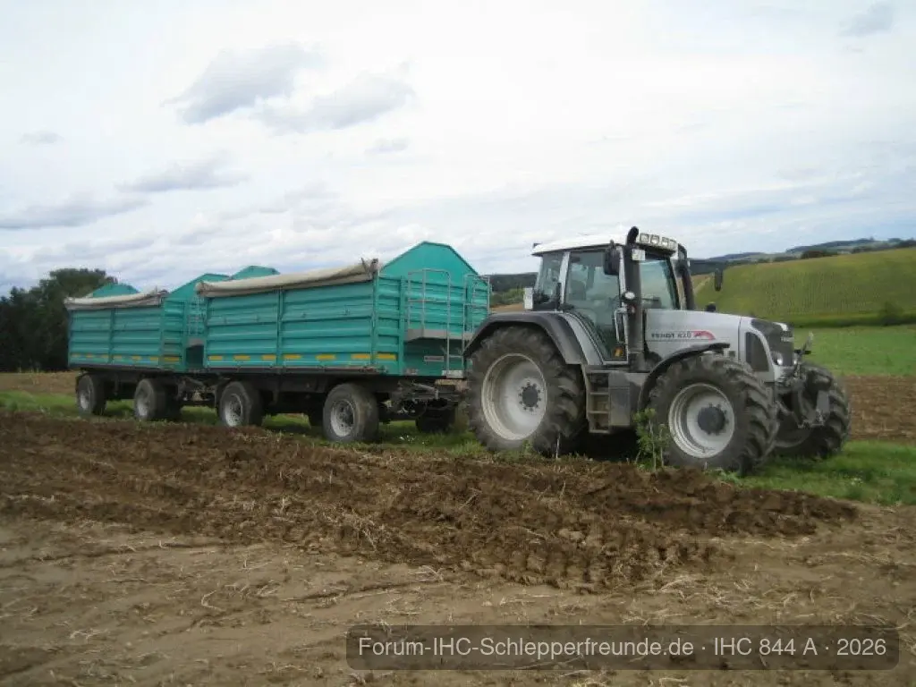 Kartoffel 2009