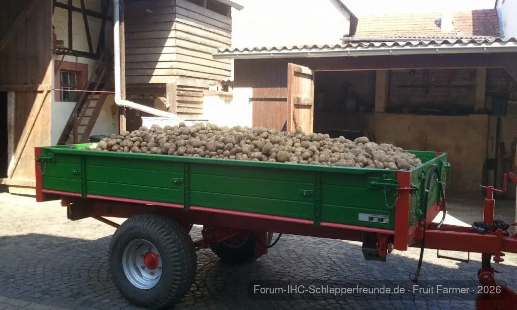 Kartoffelernte 2011