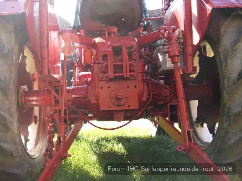 lanz-torsten