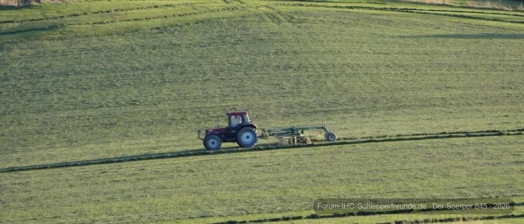 Letzter Schnitt am Burgberg