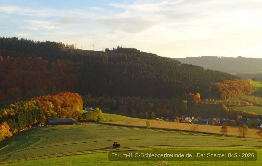 Letzter Schnitt am Burgberg