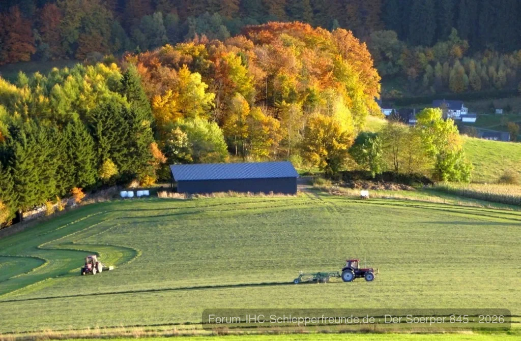 Letzter Schnitt am Burgberg