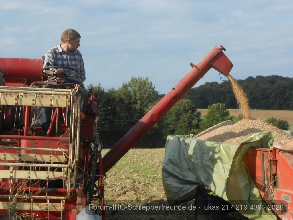 lukas 217 219 439