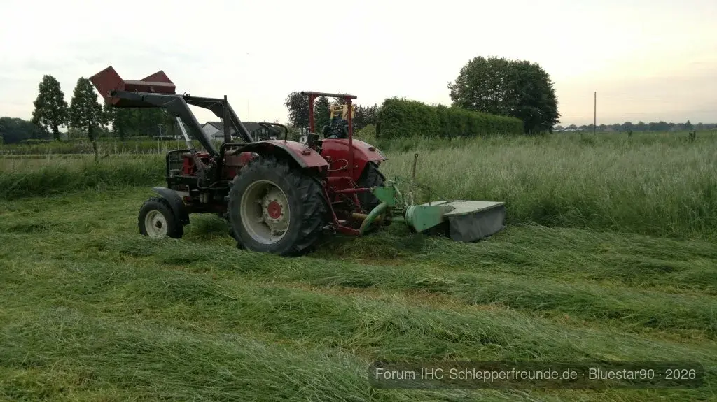 Mähen_2012