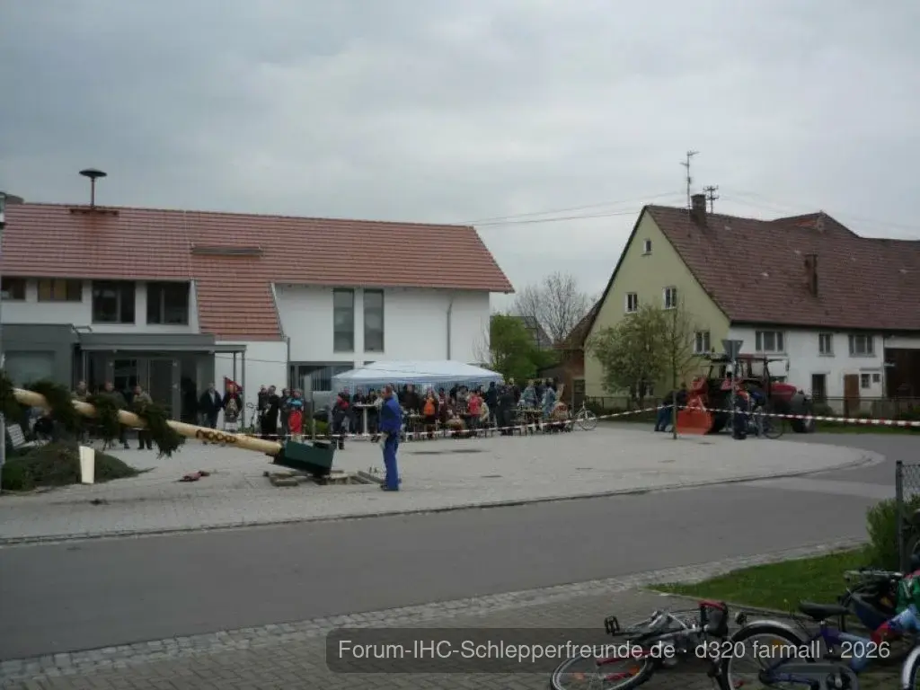 Maibaum stellen