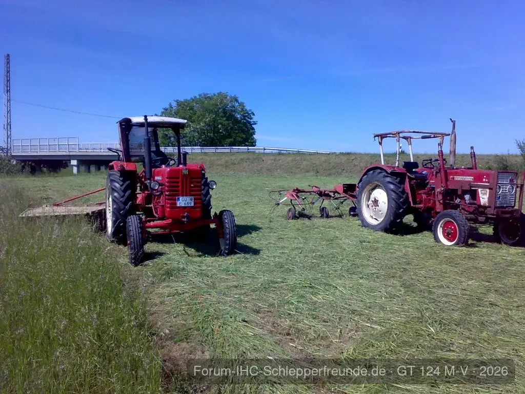 Maik D439