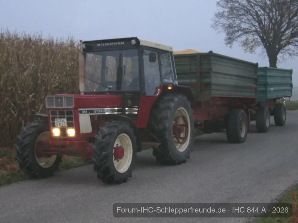 Mais Dreschen 2008
