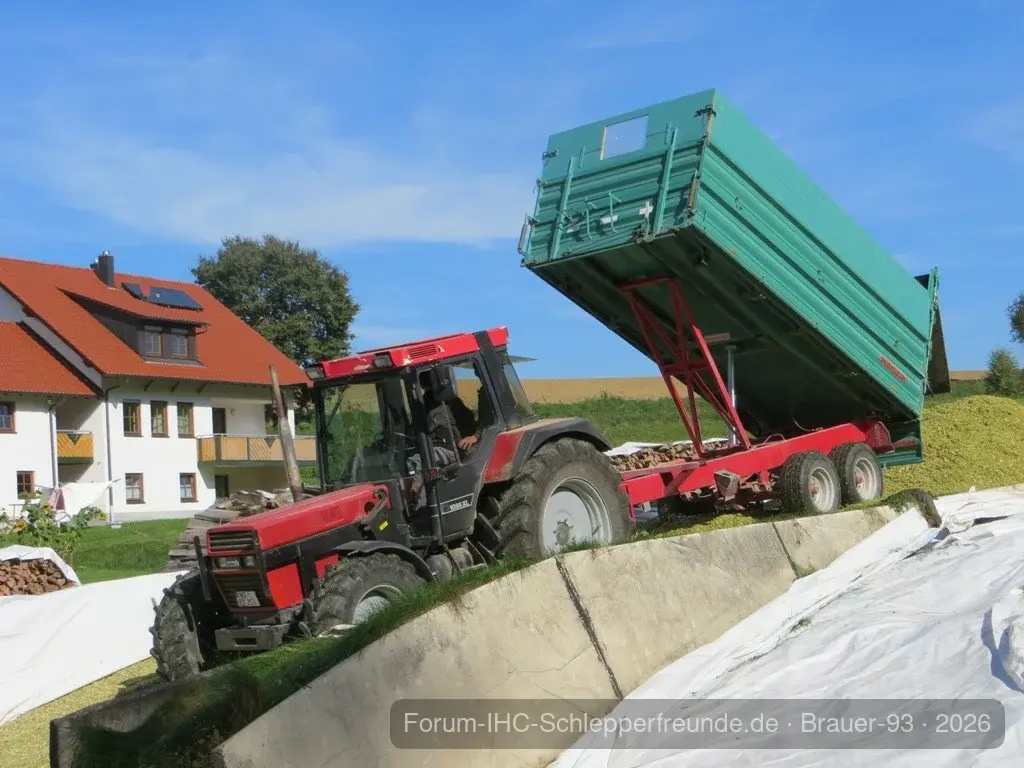 Mais häckseln 2013