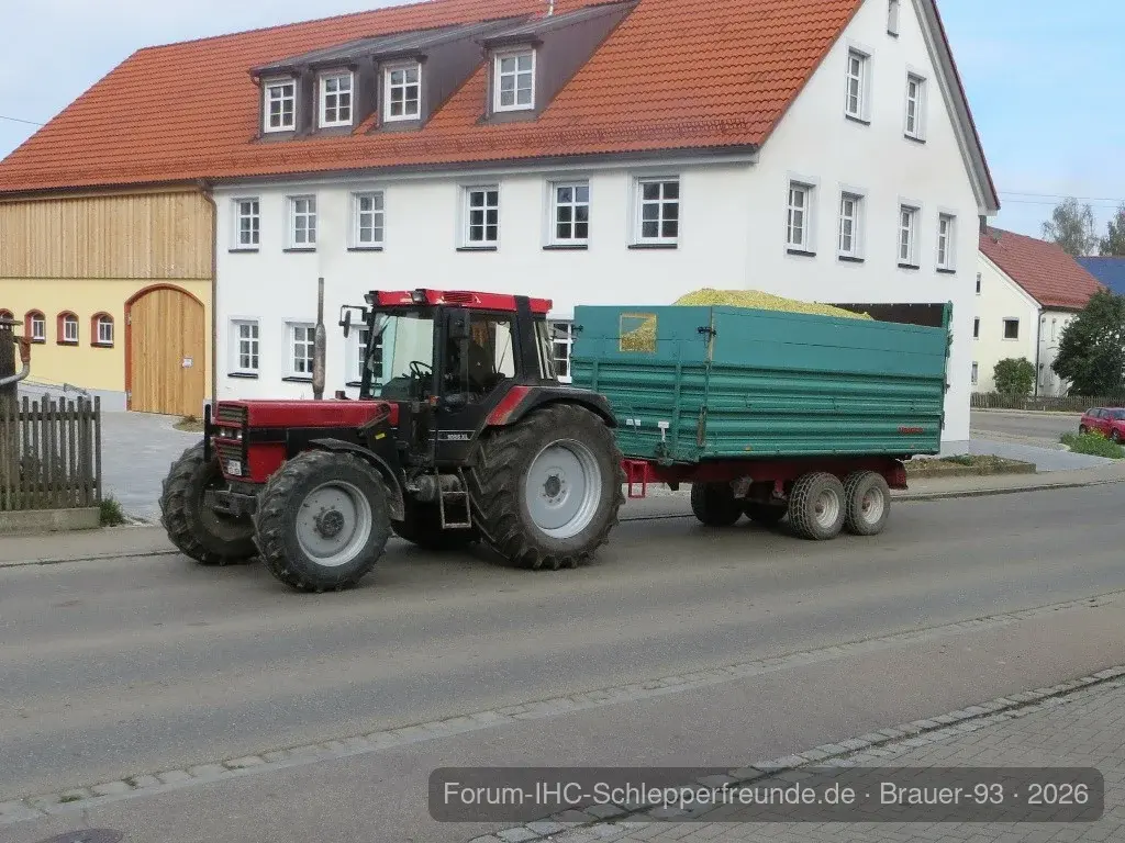 Mais häckseln 2013