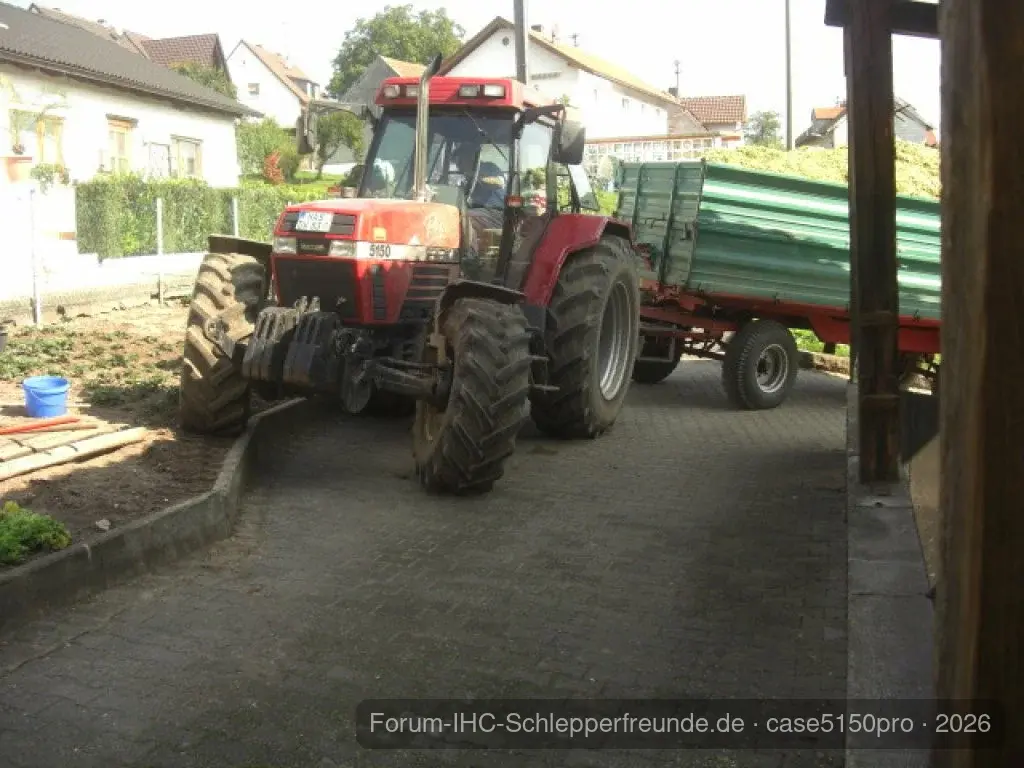 Maisernte 09