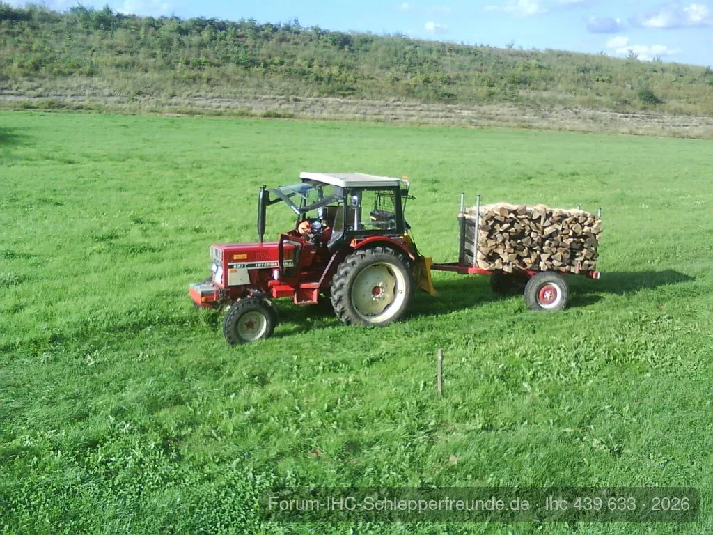 Mal wieder Holz geschnitten