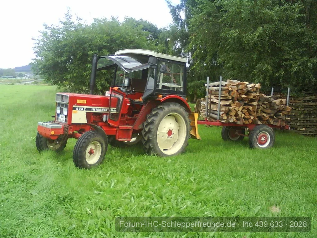 Mal wieder Holz geschnitten